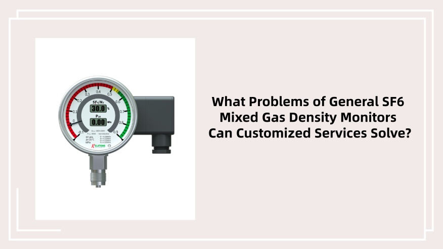 What Problems of General SF6 Mixed Gas Density Monitors Can Customized Services Solve?